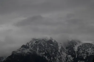 DSC_6988 (Large).JPG